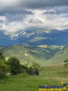 8.000 mp teren, Bran, Fundata, Brasov - foto 12