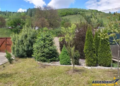 Rezidenta pe teren generos, cu culturi pomicole, Moieciu, Bran, Brasov - foto 9