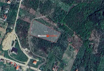 Teren intravilan de vanzare – 9.091 mp | Front 77 ml | Acces din Gh. Doja - foto 4