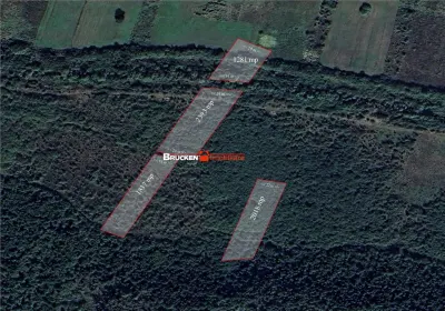 Teren arabil de vanzare – 2,34 ha (23.400 mp) – Husasau de Tinca-BH - foto 4
