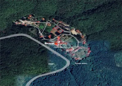Teren intravilan construibil – Padurea Neagra, Bihor - foto 3