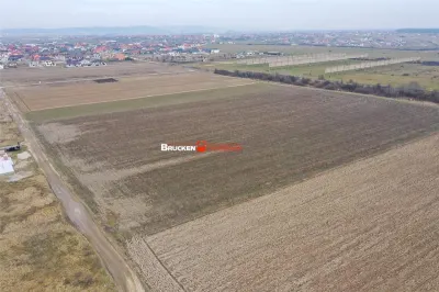 5 PARCELE PENTRU CASA | ZONA REZIDENTIALA I DEZVOLTARE | CIHEI - foto 3