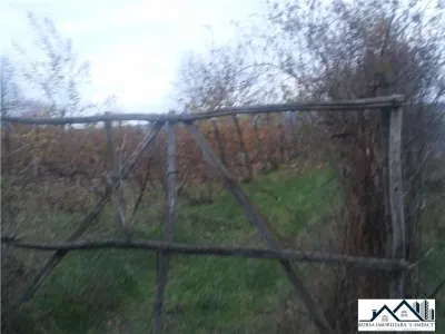 TEREN INTRAVILAN -de constructii, S=3600 mp, loc. Grivita, 21 000 Euro - foto 3