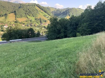 5.000 mp teren, front la strada principala, vedere panoramica, Moieciu, Brasov - foto 9