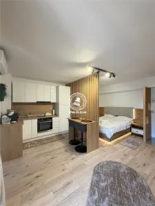 REPREZENTARE EXCLUSIVA! Studio premium de vanzare – Centru - Palas | Investitie excelenta regim hotelier - foto 3