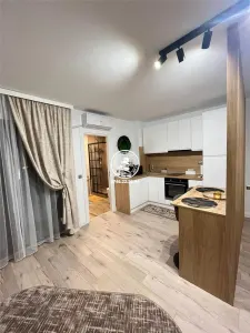 REPREZENTARE EXCLUSIVA! Studio premium de vanzare – Centru - Palas | Investitie excelenta regim hotelier - foto 9