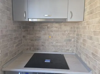 Inchiriere apartament  2 camere zona ultracentrala - foto 5