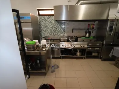 Oportunitate afacere****INCHIRIEZ RESTAURANT COMPLET DOTAT | Buna Ziua - foto 9