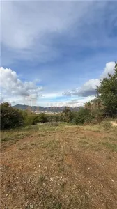 Teren intravilan 16 ari, zona Castel Transilvania - Grosi