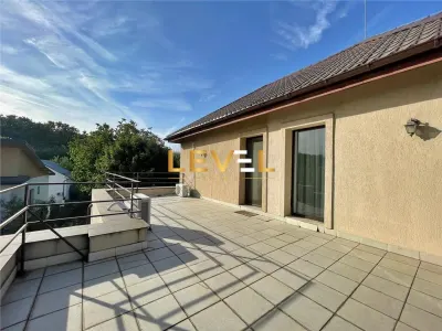 Vila cu 5 camere cu 5000 mp gradina si casa de oaspeti - foto 18