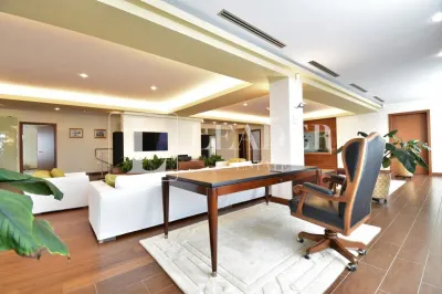 Penthouse spectaculos I Herastrau - foto 4