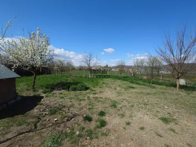 Casa si teren Baia de Cris - foto 19