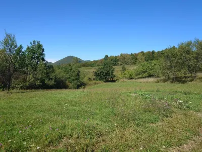 Teren intravilan 8757 mp cu acces direct la E79 - foto 13