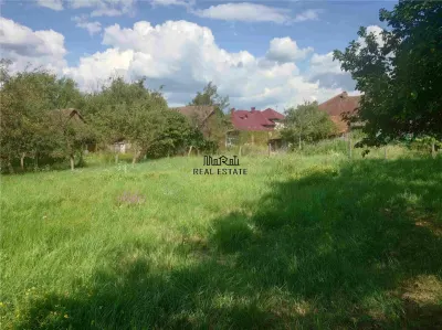 Casa P+M cu teren generos si loturi suplimentare in Baia de Cris - foto 19