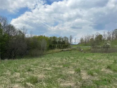 Terenuri extravilane in Luncoiu de Sus, Hunedoara - foto 2