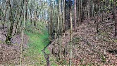 Domeniu de 7 ha in Apuseni - Criscior, Hunedoara - foto 4