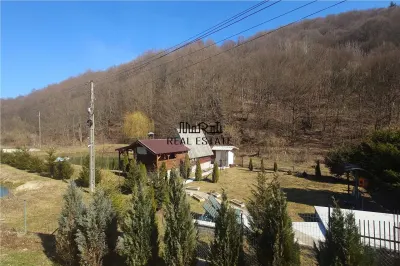 Iaz de vanzare in Apuseni- cazare, agrement si pescuit la DN74 - foto 2