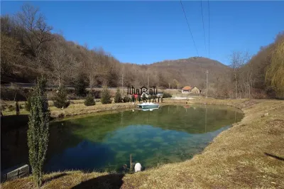 Iaz de vanzare in Apuseni- cazare, agrement si pescuit la DN74 - foto 3