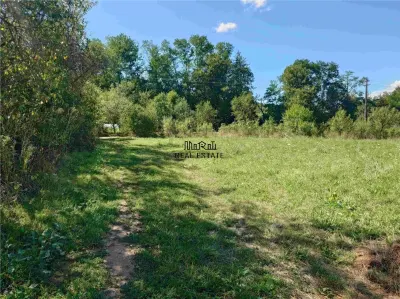 Teren intravilan pentru casa sau vacanta, Lunca, Baia de Cris - foto 4