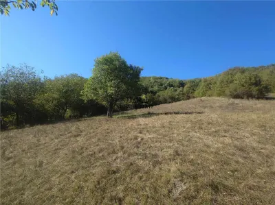 14075 mp teren cu acces la utilitati - Criscior - foto 7