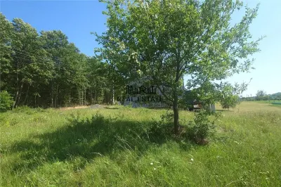 Teren intravilan de vanzare  in Luncoiu de Jos, sat Luncoiu de Sus, 3000 mp - foto 6
