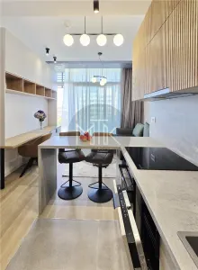AVIATIEI/FLOREASCA | Apartament 2 camere LUX | mobilat&utilat | Bloc 2025 - foto 7