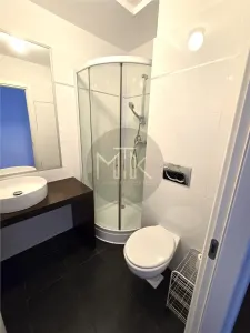 Apartament  5 camere, Mobilat&utilat I Herastrau - foto 15