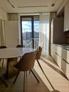 Apartament 5 camere Mobilat & Utilat lux | TERASA 67MP I Kiseleff - foto 8
