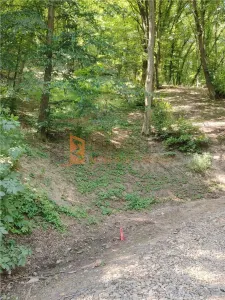 Teren intravilan zona Monteoru - Sarata-Monteoru