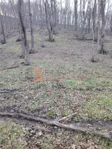 Teren intravilan zona Monteoru - foto 2