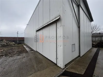 Hala Industriala zona Pietroasele - Pietroasele