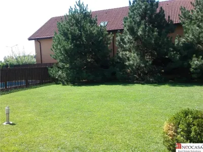 IANCU NICOLAE, S+P+1, 6 CAMERE, 410 MP, PISCINA, CURTE SUPERBA! - foto 20