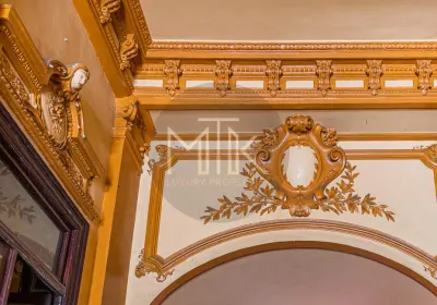 Vila Monument Istoric - Casa lui NICOLAE DINISCHIOTU | Reconsolidata - foto 10
