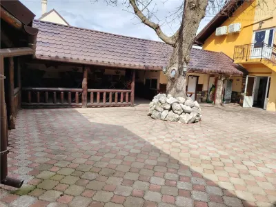 Super Vila ,  perfecta  pentru o Pensiune/ Hotel cu Restaurant - foto 8