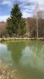 Vila premium cu lac privat si panorama catre Masivul Postavaru | Cheile Rasnoavei - foto 8
