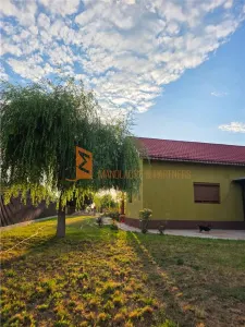 EXCLUSIVITATE! Casa tip parter si teren generos aproape de Buzau - foto 6