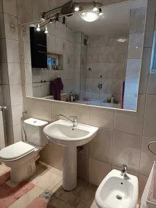 Casa Calea Calarasilor - Hala Traian | renovata si consolidata 2001 | curte comuna - foto 8