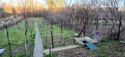 Vanzare casa P+beci pe teren 976 mp| cerere depusa CU | Baneasa - Biharia | - foto 7