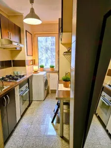 Vanzare apartament 2 camere | Cismigiu | bloc liric | fara risc seismic | etaj 3/10 | gata de mutare | - foto 4