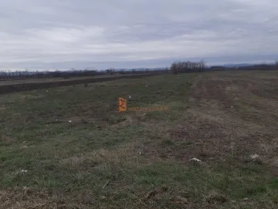 Teren intravilan 5000 mp  zona Autorola/E85/ Autostrada A7 - Vadu Pasii