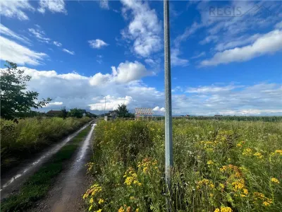 TEREN INTRAVILAN, 500 MP, HARMAN - foto 3