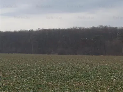 VANZARE TEREN INTRAVILAN  | BUFTEA | loturi pt case de 500 mp ( ultimile disponibile )| din str Fagaras pana la padure | certificat de urbanism | - foto 12