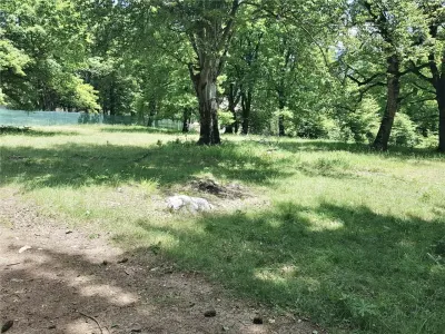 Teren de vanzare 4713 mp investitie | Poiana Brasov - foto 12