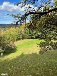 Teren intravilan construibil Breaza, 4300mp, curent, canalizare pe teren, gazele la gard,  pomi fructiferi, priveli?te superb? - foto 2