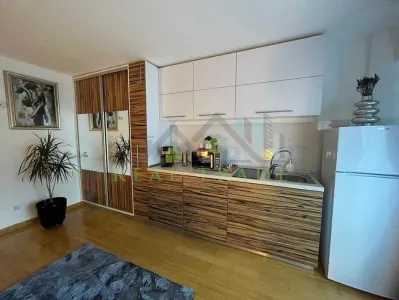 Garsoniera renovata, bloc nou Drumul Poienii - foto 3