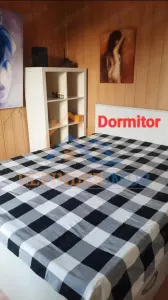 Apartament 2 camere zona Cismigiu - Bucuresti