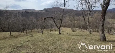 Teren intravilan 2200 mp de vanzare in Valea Doftanei - foto 4