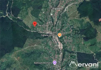 Teren intravilan 2200 mp de vanzare in Valea Doftanei - foto 6