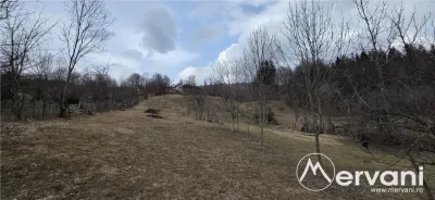 Teren intravilan de vanzare in Valea Doftanei - foto 3
