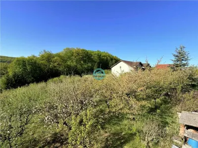 Vand teren intravilan, 2566 mp in Corunca situat intr-o zona linistita si intima - foto 8